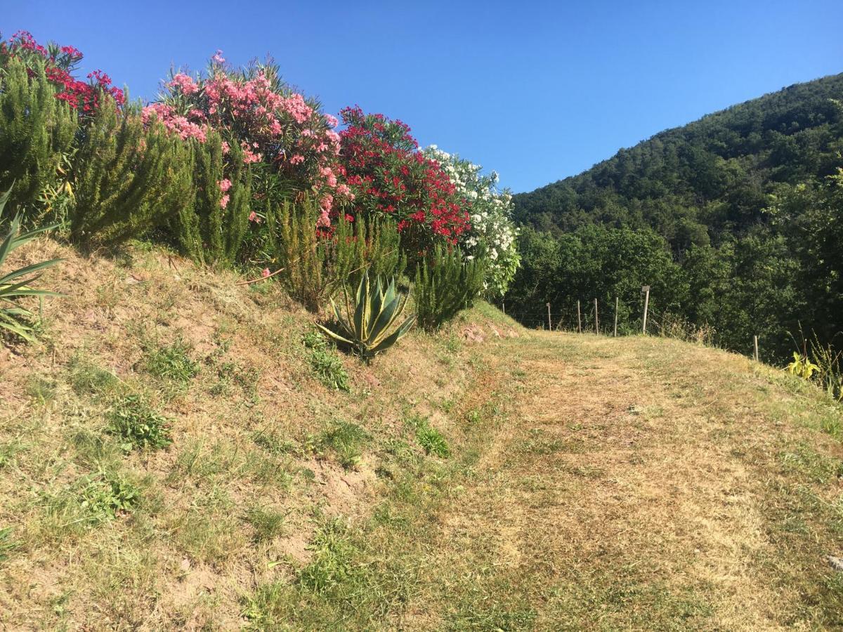 Cinque Terre, Tuscany, Liguria, Lerici #5 Zewnętrze zdjęcie